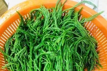 Loại rau đứng xa vài mét vẫn ngửi thấy mùi hôi nhưng ăn là “nghiện”