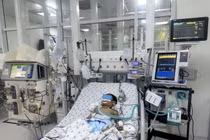 Bị ong vò vẽ đốt 70 vết, bé trai 7 tuổi tổn thương đa cơ quan