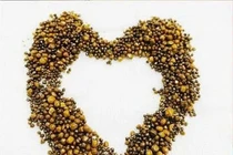 Sỏi lấp đầy túi mật người phụ nữ, sỏi mật biến chứng nguy hiểm sao?