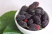 Loại quả vị ngọt chua được ví "thuốc hạ đường huyết", ngăn ngừa lão hóa