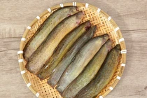 Loại cá nhỏ nhưng “có võ”, hàm lượng canxi gấp 6 lần cá chép