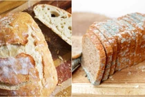 Điều gì xảy ra nếu vô tình ăn phải thực phẩm bị nấm mốc?