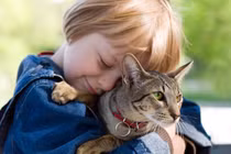 Chơi với chó mèo, bé trai 9 tuổi bị nhiễm nấm tổ ong da đầu