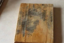 3 thứ được mệnh danh là "ổ chứa độc" trong nhà bếp