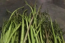 Loại rau mọc dại ở Đông Nam Bộ bất ngờ thành đặc sản "hút khách"