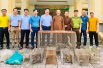 Hà Tĩnh: Tiếp nhận nhiều cá thể động vật quý hiếm