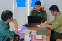 Hà Tĩnh: Bắt quả tang một đối tượng đang chặt phá rừng tự nhiên