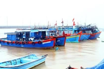 Quảng Bình: Trích hơn 16 tỷ đồng hỗ trợ ngư dân đánh bắt xa bờ