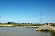 Vụ kế toán xã trúng 23 lô đất: Đề nghị thanh tra toàn diện