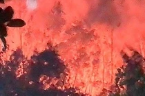 Nghệ An: Hàng ngàn người trắng đêm dập lửa cứu rừng