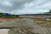 Hà Tĩnh: “Hô biến” đất rừng thành trại nuôi lợn?!