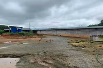 Hà Tĩnh: “Hô biến” đất rừng thành trại nuôi lợn?!