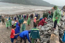 Hà Tĩnh: Gia cố các điểm sụt lún tại tuyến kè biển Cẩm Nhượng 