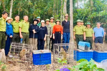 Hà Tĩnh: Thả 53 cá thể động vật hoang dã về môi trường tự nhiên