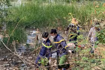 Nghệ An: Nam thanh niên nhảy cầu Bến Thuỷ tự tử