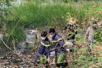 Nghệ An: Nam thanh niên nhảy cầu Bến Thuỷ tự tử