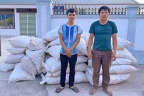 Gần 5 tấn gỗ trắc, vảy tê tê được cất giấu dưới sàn xe ô tô