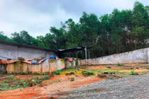 Vụ “hô biến” đất rừng thành trại lợn: Lập đoàn kiểm tra, xử lý