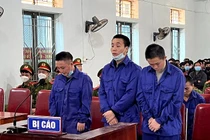 Nghệ An: Gieo rắc cái chết trắng, hai anh em “dắt” nhau vào tù