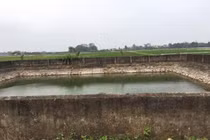 Hà Tĩnh: Ba người đuối nước thương tâm ở giếng làng