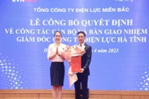 Công ty Điện lực Hà Tĩnh có tân Giám đốc 