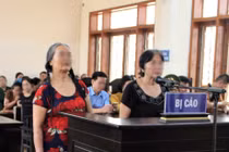 Đăng nội dung xuyên tạc lên mạng xã hội, 2 cụ bà lĩnh án tù