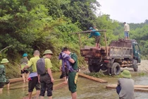 Hà Tĩnh: Bắt giữ khối lượng lớn gỗ lậu được giấu ở lòng suối