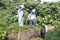 Hà Tĩnh: Trang trại chăn nuôi lợn bị xử phạt hơn 41 triệu đồng