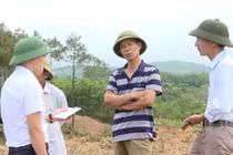 Quảng Bình: Nguyên Bí thư, Chủ tịch UBND xã bị kỷ luật vì chặt phá rừng