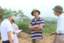 Quảng Bình: Nguyên Bí thư, Chủ tịch UBND xã bị kỷ luật vì chặt phá rừng