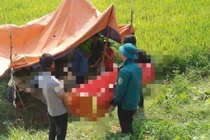 Nghệ An: Lật máy gặt, người đàn ông tử vong thương tâm