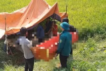 Nghệ An: Lật máy gặt, người đàn ông tử vong thương tâm