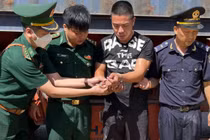 Bắt giữ tài xế vận chuyển trái phép 287 kg pháo, 2.614 kg gỗ trắc