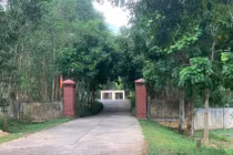 Quảng Bình: Trộm đột nhập lâm trường “cuỗn” gần 500 triệu đồng