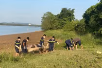 Nghệ An: Tìm thấy thi thể người phụ nữ gieo mình xuống sông Lam