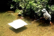 Đi mò ốc ở suối, 2 học sinh đuối nước thương tâm