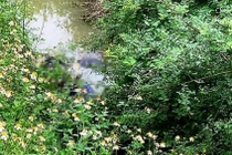 Nghệ An: Phát hiện thi thể người phụ nữ dưới mương thoát nước