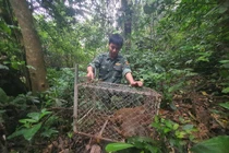 Nhiều cá thể động vật quý hiếm được thả về tự nhiên