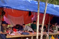 Bắt 11 đối tượng khai thác vàng trái phép ở Đắk Lắk