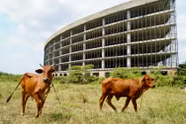 Cận cảnh dự án Sài Gòn Silicon gần 860 tỷ sắp thu hồi 