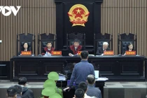 Vụ AIC- Nguyễn Thị Thanh Nhàn bị đề nghị mức án 30 năm tù