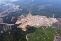 Công ty AIT phá rừng tự nhiên ở Thanh Hóa?