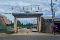 Công ty Lê Gia Newland vi phạm môi trường, bị phạt 320 triệu đồng