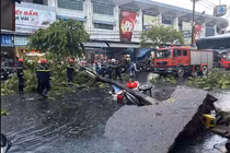 Đà Nẵng: Cây lớn bật gốc trong mưa dông, một phụ nữ bị thương