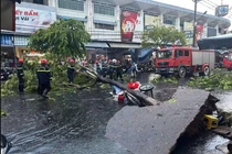Đà Nẵng: Cây lớn bật gốc trong mưa dông, một phụ nữ bị thương
