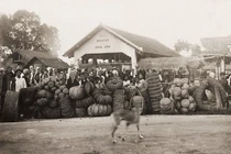 Loạt ảnh hiếm về đời sống ở Nam Bộ 100 năm trước 