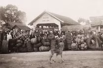 Loạt ảnh hiếm về đời sống ở Nam Bộ 100 năm trước 