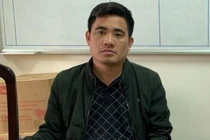 Hòa Bình: Bắt Giám đốc khai thác đất trái phép với giá trị hàng tỷ đồng