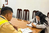 Đi ngược chiều trên cao tốc Pháp Vân - Cầu Giẽ, nữ tài xế khai gì?