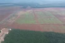 Đồng Nai “chốt” ngày đấu giá khu đất 56ha trị giá 789 tỷ